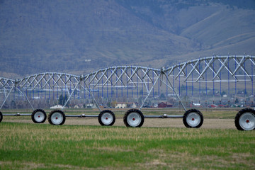 Large automatic irrigation sprinkler on wheels in summer hay field.