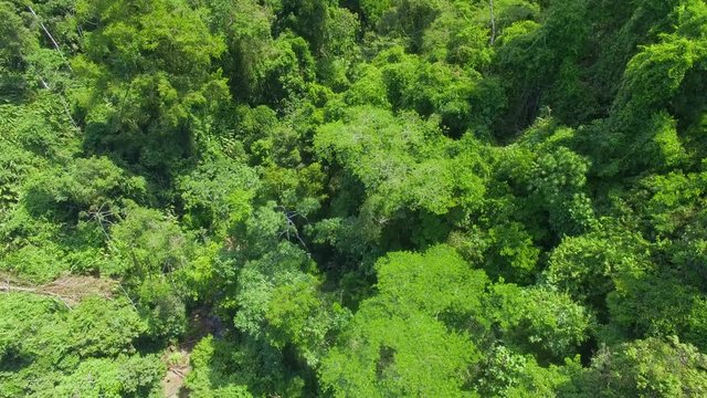Jungle Waterfall at Gandoca Manzanillo National Wildlife Refuge. Bribri Costa Rica Drone Video