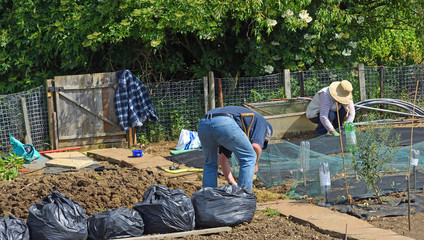 Two people working on allotment