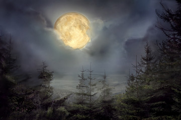 Naklejka na ściany i meble Beautiful landscape with full moon in night sky