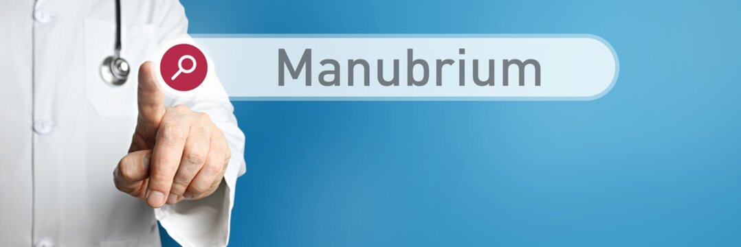 Manubrium. Arzt zeigt mit Finger auf Suchfeld im Internet. Text steht in der Suche. Blauer Hintergrund. Medizin, Gesundheitswesen