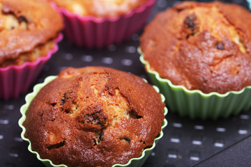 fresh pastries, cupcakes close up. time for food