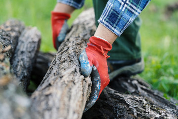 Close up on midsection of unknown man wearing protective working gloves holding a log tree trunk picking up or putting down in yard outdoor in day low angle view