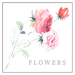 Fototapeta premium Watercolor flowers illustration