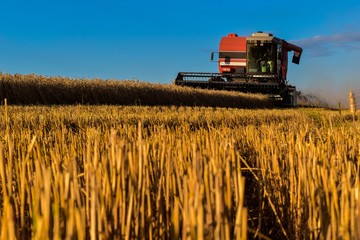 Agriculture Crop Harvesting