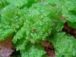 Rengginang is a kind of traditional Indonesian thick rice cracker, made from cooked glutinous sticky rice and seasoned with spices, made into a flat and rounded shape, and sun-dried.