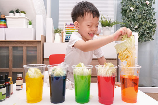 Asian Kindergarten Boy Having Fun Making Rainbow Cabbage Experiment, Kid Learn About How Plants Thrive By Pulling Water Through It's Vein System, Kid-friendly Easy Science Experiments At Home Concept