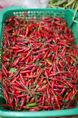 Fototapeta premium red chili pepper chilies on a market displayed with depth of field photography