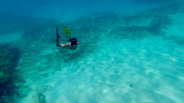 Full length of female tourist snorkeling while waving in blue sea, young woman exploring while swimming in water - Montego Bay, Jamaica