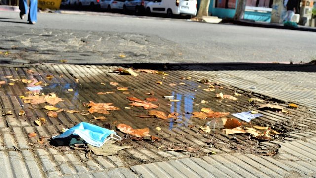 charco con tapaboca desechable y hojas de arboles