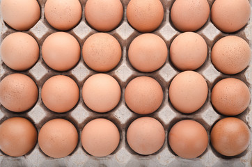 Too view eggs in paper container.