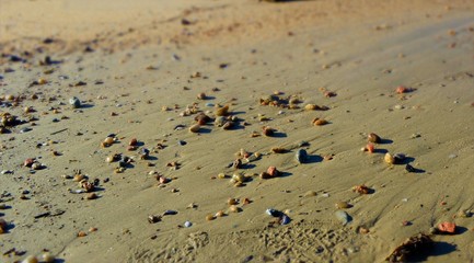 small stones on the beach with a sunshine day
