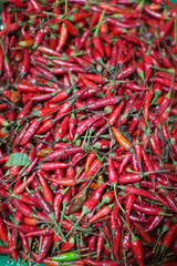 Fototapeta premium red chili pepper chilies on a market displayed with depth of field photography