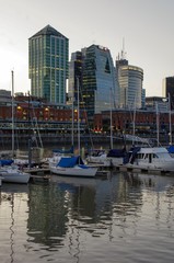 boats in marina