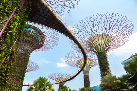 Gardens by the Bay in Singapore