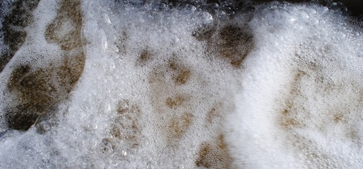 Bubbles formed on water surface from turbulence in river