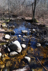 Small stream or brook with mossy, rocky banks running through the forest in early spring