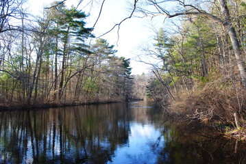 Early springtime river landscapes in northeastern US temperate forest