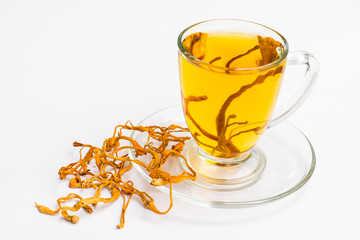 Cordyceps militaris mushroom