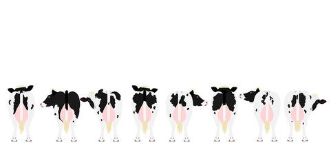 Holstein Friesian cattle in a row rear view - obrazy, fototapety, plakaty