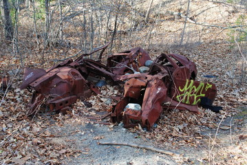 Old car or truck wreckage abandoned in the woods to be taken over by nature