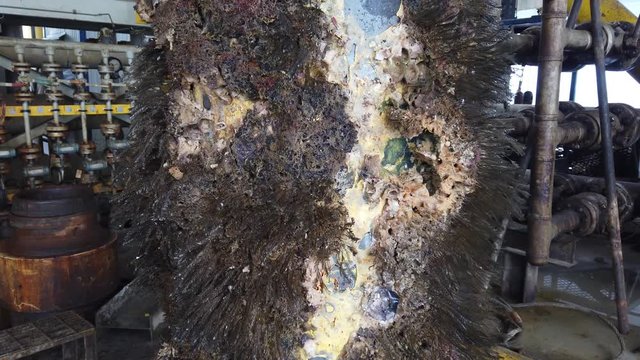 Old multi string casing conductors are pulled out from the sea with soft coral reef around the string.
