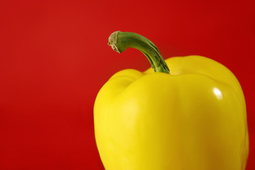 Yellow capsicum against red background