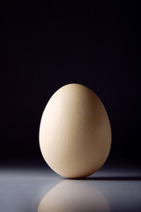 A standing egg