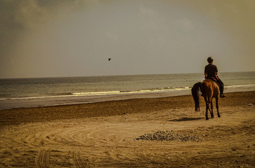 Riding Horse in Deserted Beach