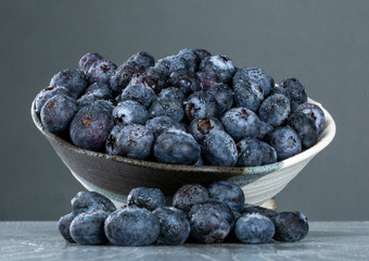 Blueberries in gray bowl on isolated gray tabletop low view