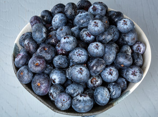 Blueberries in gray bowl on isolated gray tabletop from above