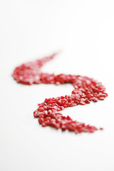 Red stones arranged in a winding shape