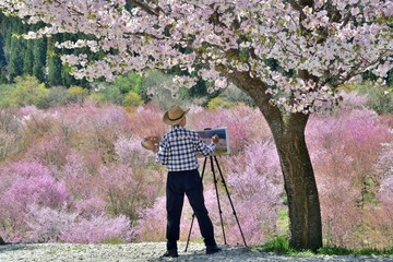 春・桜・アーチスト