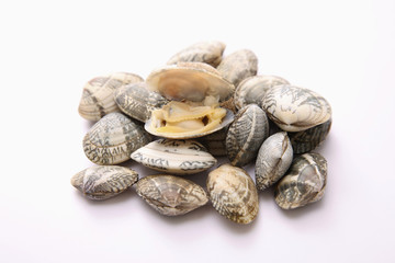 Clams