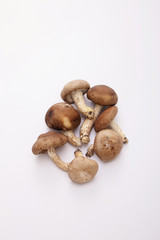 Mushrooms