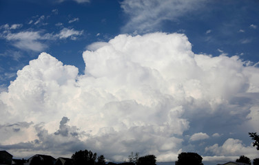 Puffy white storm cloud