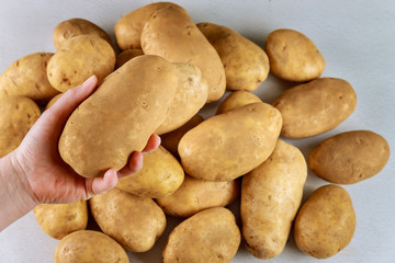 Fototapeta na wymiar Woman holds a big potato in hand.