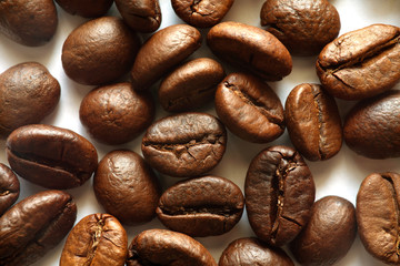 Closeup coffee bean