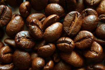 Closeup coffee bean