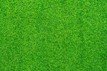 Obraz premium Artificial grass background