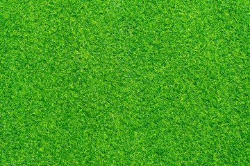 Artificial grass