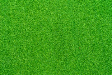 Plakat Close up artificial grass texture