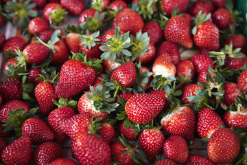 A pile of ripe strawberries