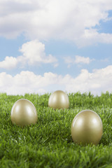 Golden eggs on a field