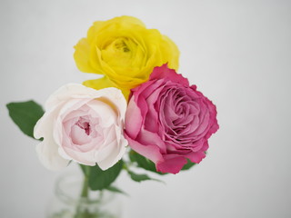 リビングルームのバラの花