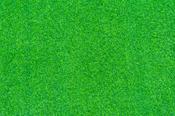 Fototapeta premium Artificial grass texture