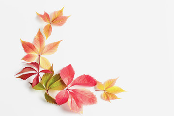 autumn concept. frame made of fall red, orange, golden leaves on white background. flat lay, copy...