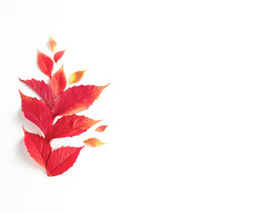 autumn composition. frame made of fall red leaves on white background. flat lay, copy space
