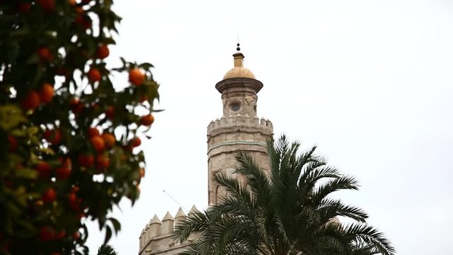 Torro del oro