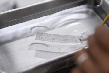 Study Histological sample and preparing a biopsy by use Microtome in Lab.